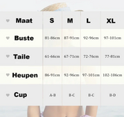 Hot Trend Alert - De High Waist Bikini Set van 2025 | Vorm je mooste silhouet